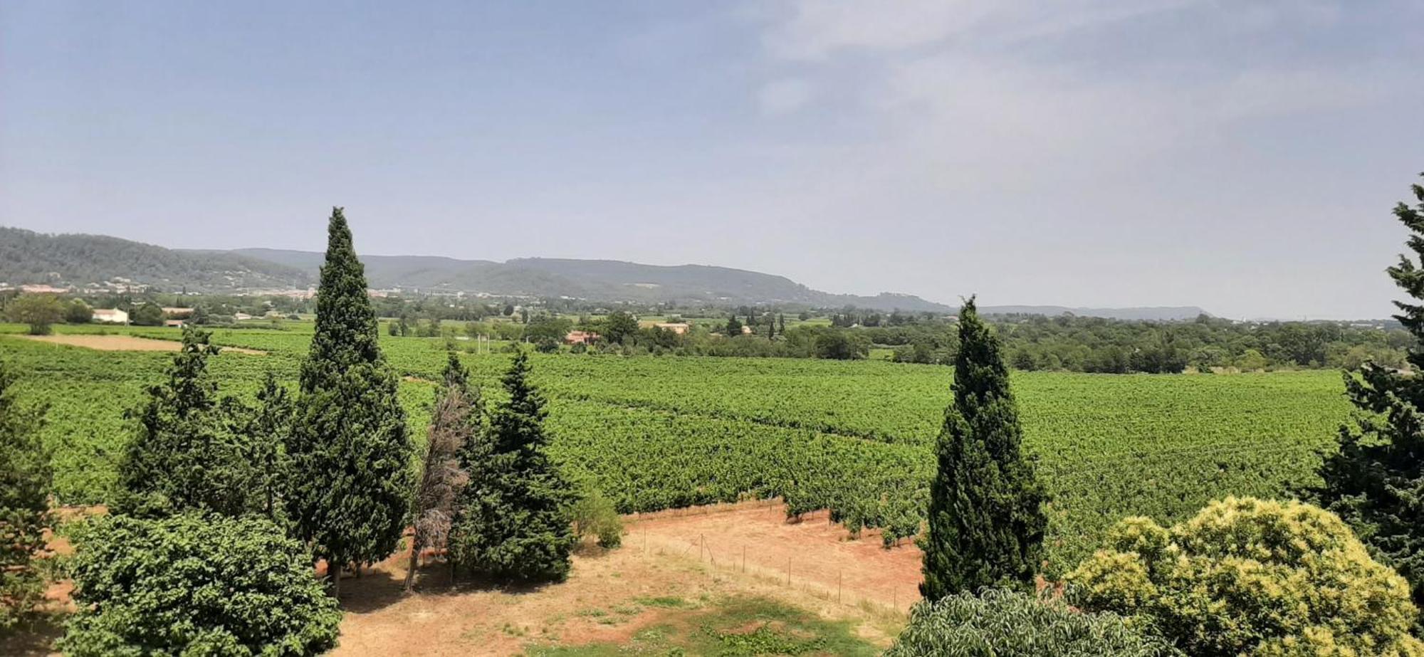 Bed And Breakfast La Grande Lauzade Le Luc Quarto foto